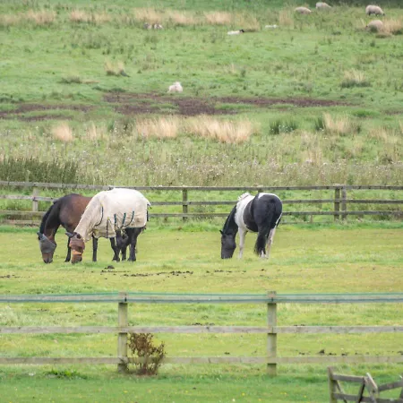 Дом отдыха Willerby Grange Farm *