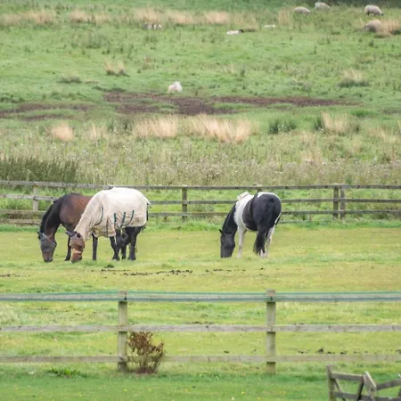 Willerby Grange Farm בית נופש Willerby (North Yorkshire)